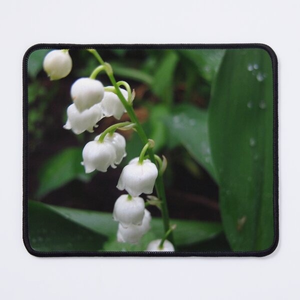 Item preview, Demure spring designed and sold by MarianBendeth.