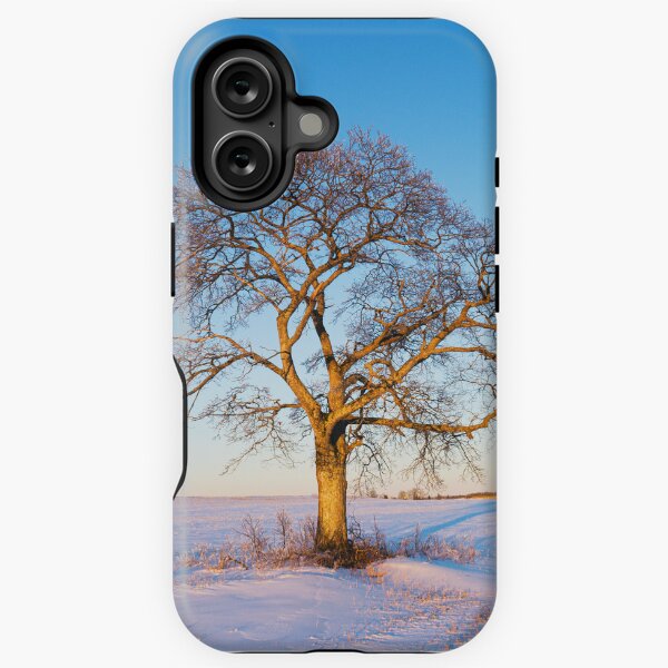 Item preview, Shubie Tree designed and sold by shaunlowephoto.