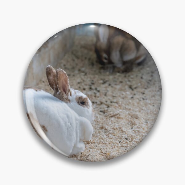 Item preview, Rabbits at Bronte Creek Park designed and sold by jrtwynam.