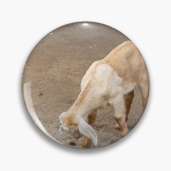 Item preview, Young Goat at Bronte Creek designed and sold by jrtwynam.