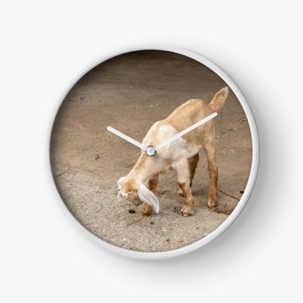 Item preview, Young Goat at Bronte Creek designed and sold by jrtwynam.