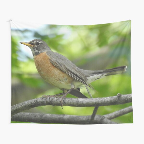 Item preview, Robin in Tree designed and sold by priesterjen.