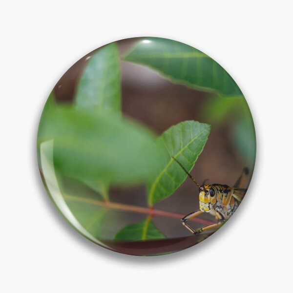 Item preview,  The Watchful Hopper designed and sold by Cardinal Photography.