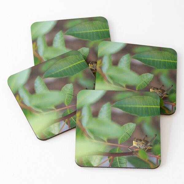 Item preview,  The Watchful Hopper designed and sold by Cardinal Photography.