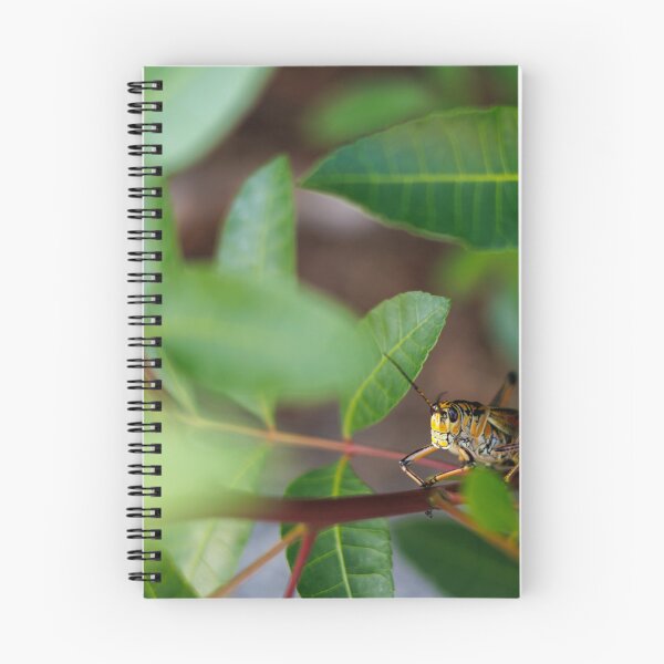 Item preview,  The Watchful Hopper designed and sold by Cardinal Photography.