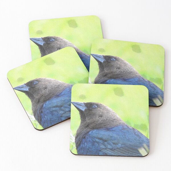 Item preview, Brown-headed Cowbird designed and sold by priesterjen.