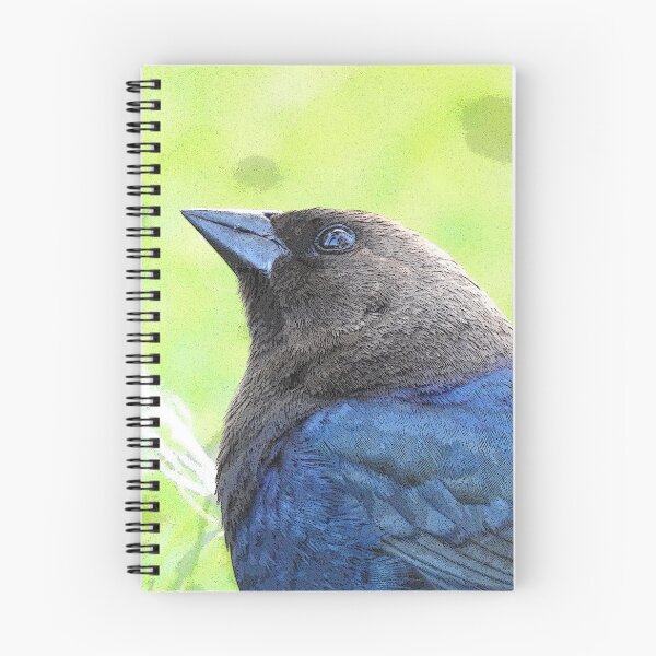 Item preview, Brown-headed Cowbird designed and sold by priesterjen.