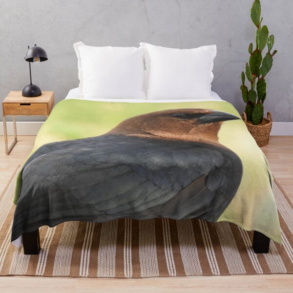 Item preview, Brown-headed Cowbird 2 designed and sold by priesterjen.