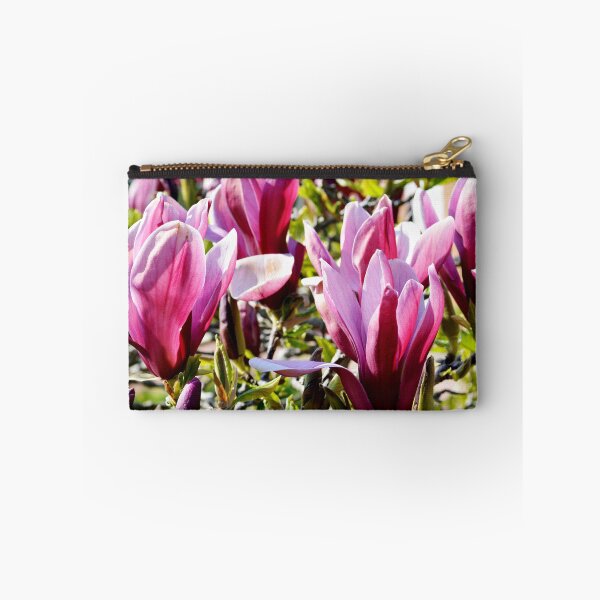 Item preview, Beautiful, Colourful Magnolia designed and sold by Frank  Irwin.