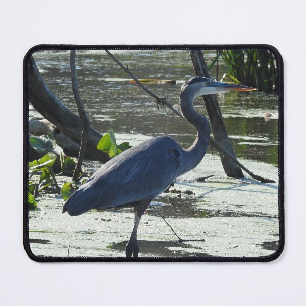 Item preview, Great Blue Heron at Marsh designed and sold by priesterjen.