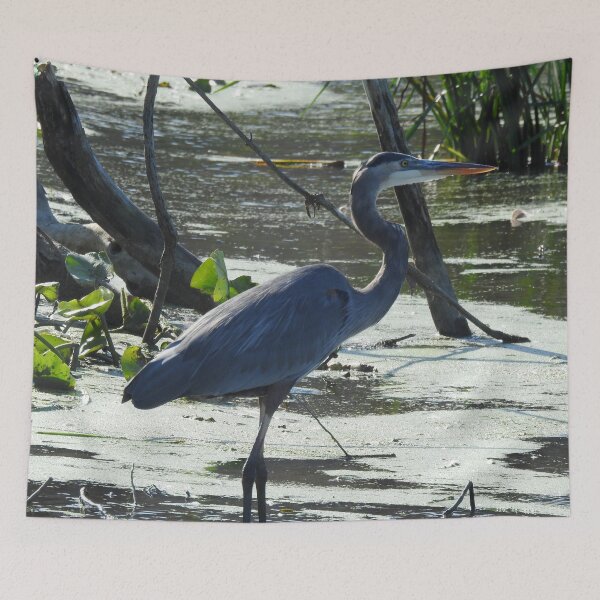 Item preview, Great Blue Heron at Marsh designed and sold by priesterjen.
