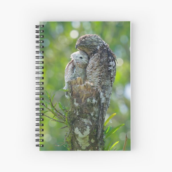 Item preview, Great Potoo with chick designed and sold by Clarkwurks Photography.