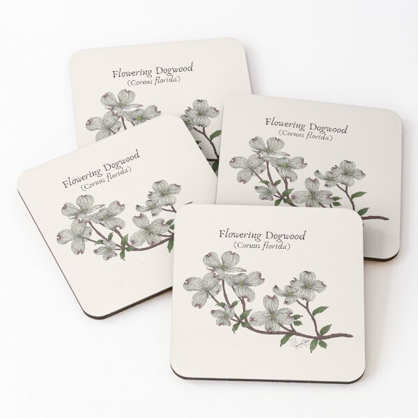 Item preview, Texas Native Plant- Flowering Dogwood (Cornus florida) Vintage Nature Art designed and sold by Marguerite Artistry.