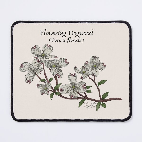 Item preview, Texas Native Plant- Flowering Dogwood (Cornus florida) Vintage Nature Art designed and sold by Marguerite Artistry.