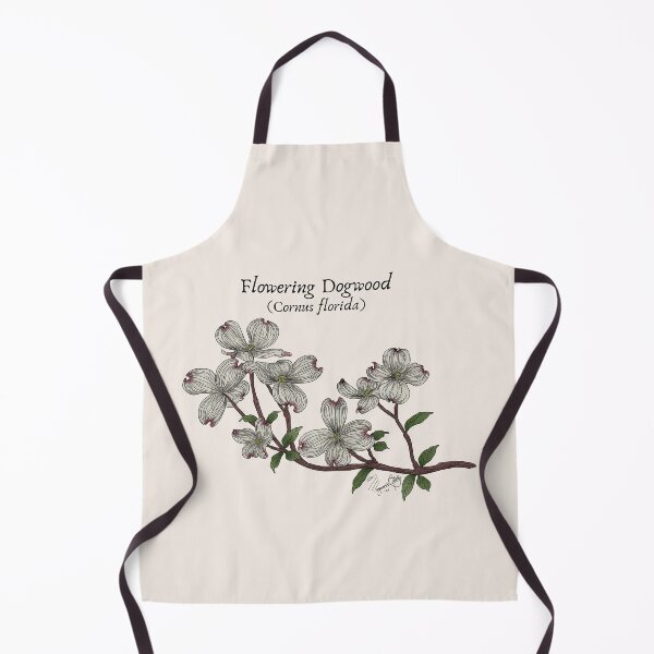 Artikelvorschau, Texas Native Plant - Blühender Hartriegel (Cornus florida) Vintage Naturkunst entworfen und verkauft von Marguerite Artistry.