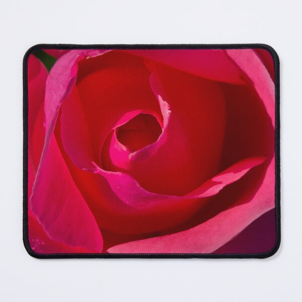 Item preview, Pink Rose in full bloom designed and sold by bjtomiko.