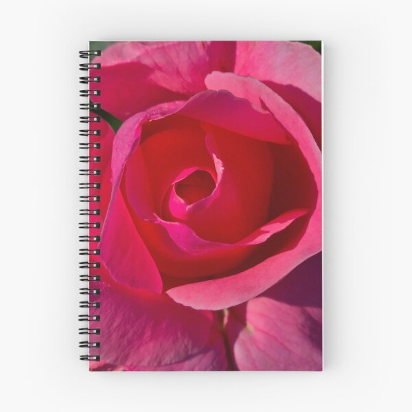 Item preview, Pink Rose in full bloom designed and sold by bjtomiko.