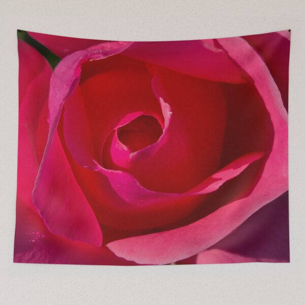 Item preview, Pink Rose in full bloom designed and sold by bjtomiko.