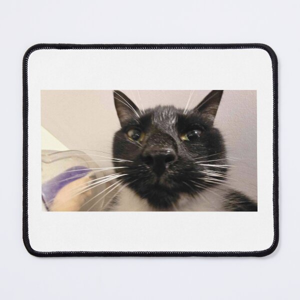 Item preview, my silly cat apollo designed and sold by scopelanti.