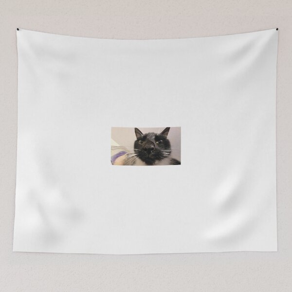 Item preview, my silly cat apollo designed and sold by scopelanti.