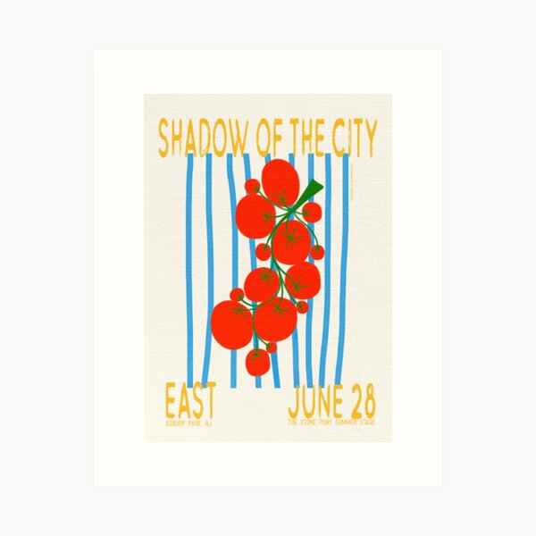 Item preview, Shadow Of The City East Bleachers Poster designed and sold by AlexisRB.