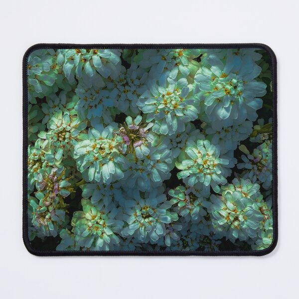 Item preview, A walk in Howth designed and sold by CyanoDoods.