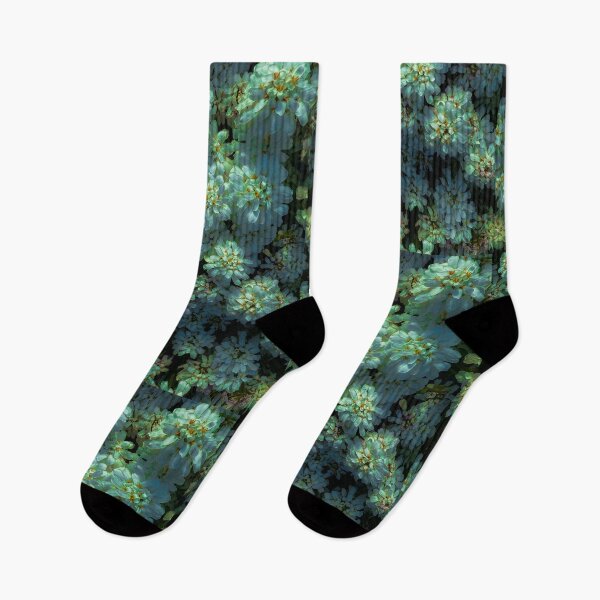 Item preview, A walk in Howth designed and sold by CyanoDoods.