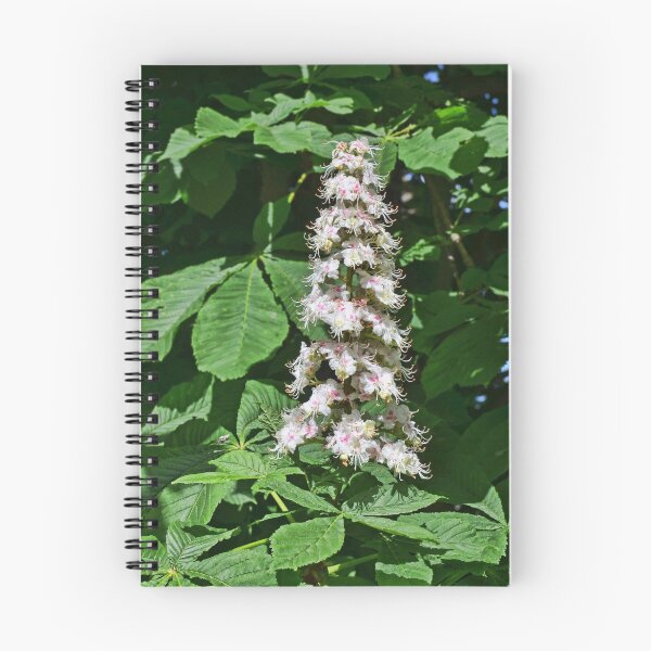 Item preview, Horse Chestnut designed and sold by Frank  Irwin.