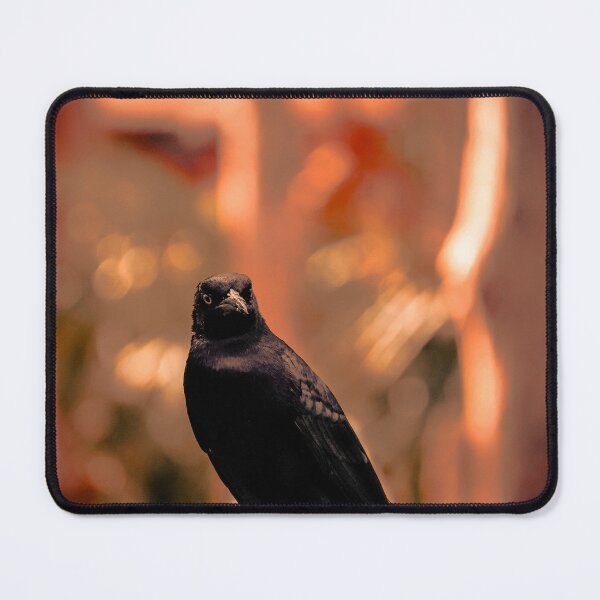 Item preview, Shadow in the Emberlight designed and sold by Cardinal Photography.