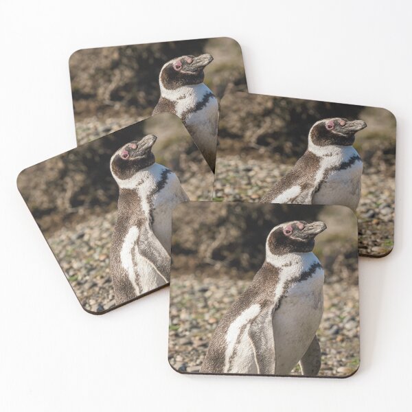 Item preview, Patagonian Walker designed and sold by Claudio Barrientos Photography.