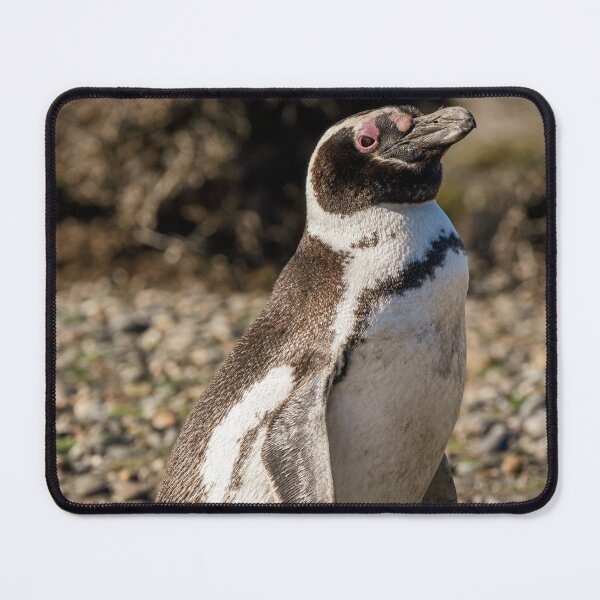 Item preview, Patagonian Walker designed and sold by Claudio Barrientos Photography.