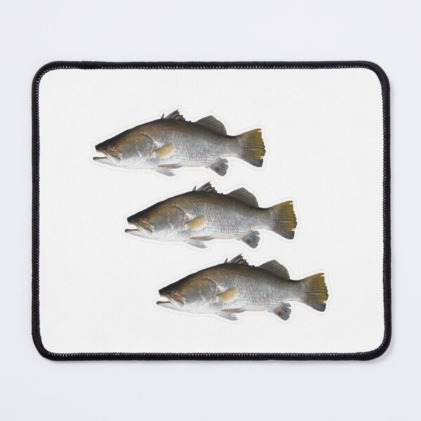 Item preview, Triple Barra Catch designed and sold by Reelyfishing.