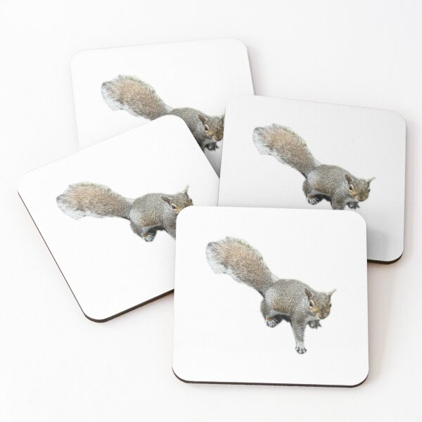 Item preview, squirrel staredown designed and sold by smadison20.