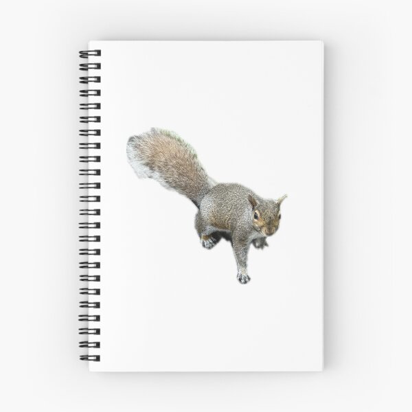 Item preview, squirrel staredown designed and sold by smadison20.