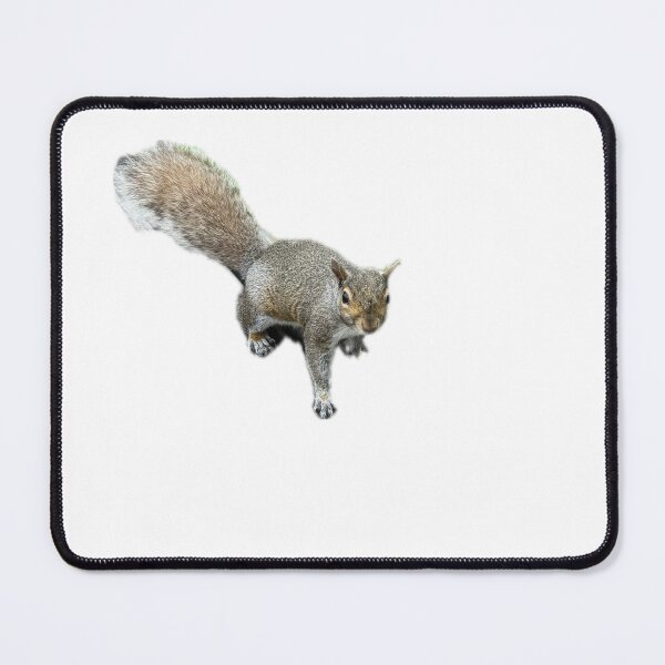 Item preview, squirrel staredown designed and sold by smadison20.