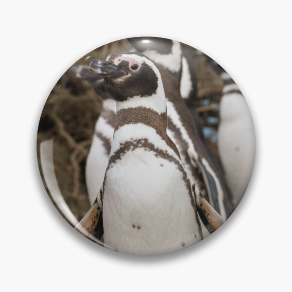 Item preview, March of the Magellanics designed and sold by Claudio Barrientos Photography.