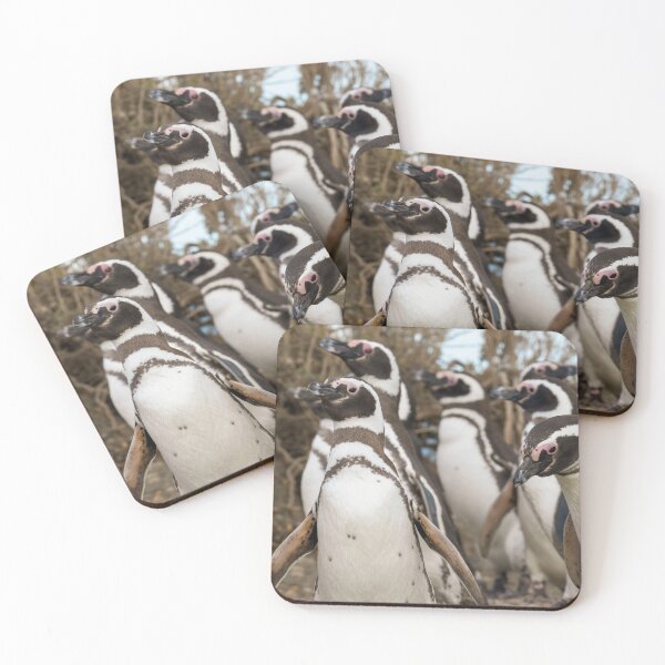 Item preview, March of the Magellanics designed and sold by Claudio Barrientos Photography.