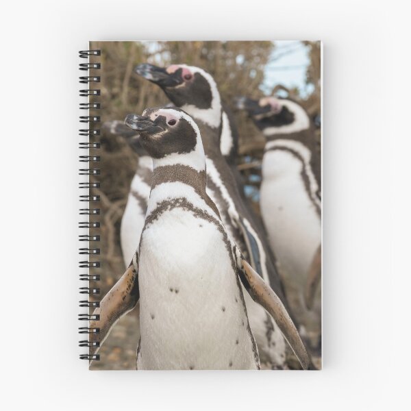 Item preview, March of the Magellanics designed and sold by Claudio Barrientos Photography.