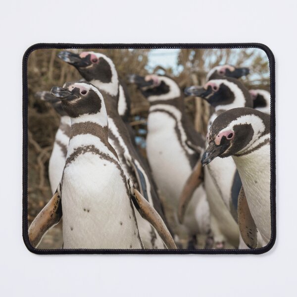 Item preview, March of the Magellanics designed and sold by Claudio Barrientos Photography.