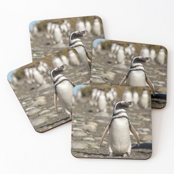 Item preview, Front of the Waddle designed and sold by Claudio Barrientos Photography.
