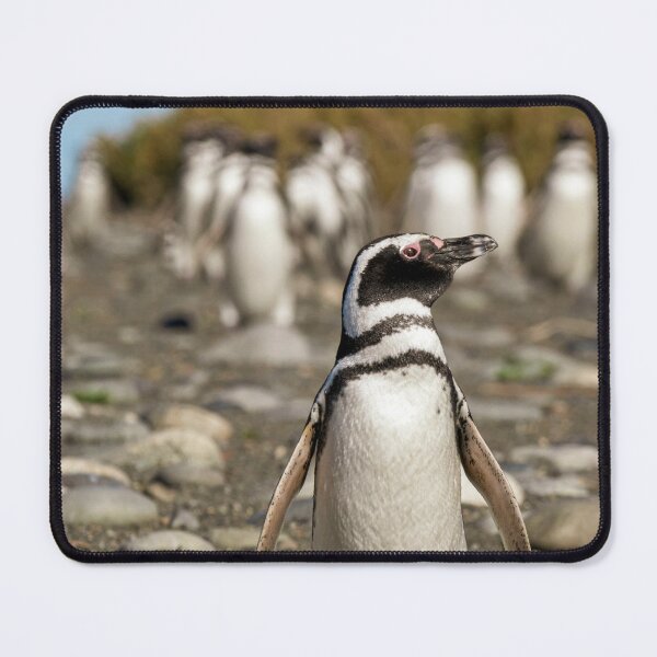 Item preview, Front of the Waddle designed and sold by Claudio Barrientos Photography.