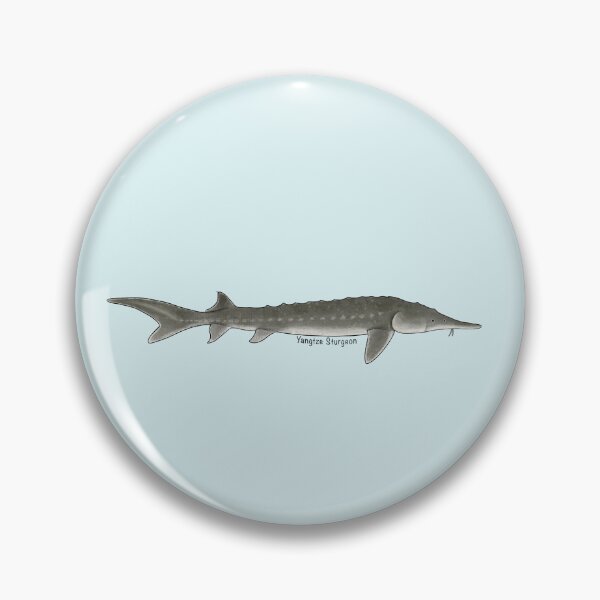 Item preview, Yangtze Sturgeon Painting designed and sold by Meganemer4.