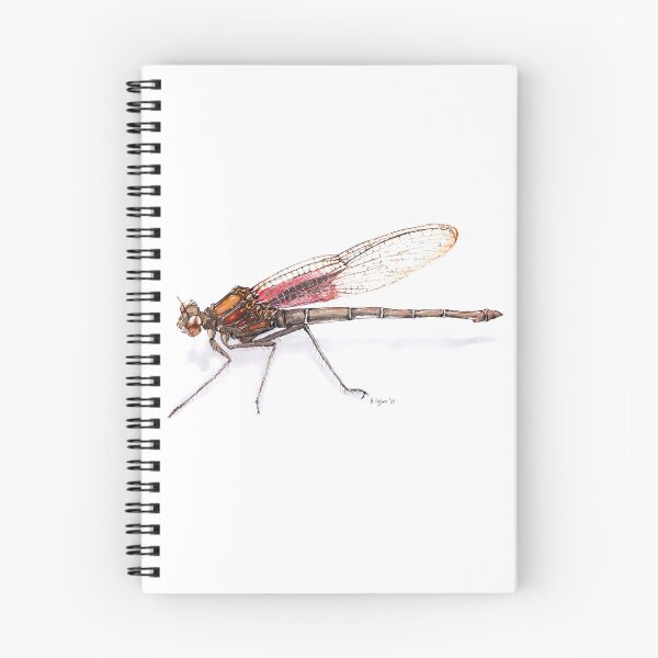 Item preview, Watercolor of Beautiful American Rubyspot Damselfly designed and sold by Art by Heath Ogden.