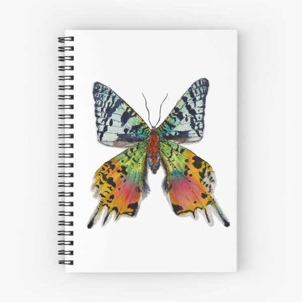 Item preview, Watercolor of Madagascan Sunset Moth designed and sold by Art by Heath Ogden.