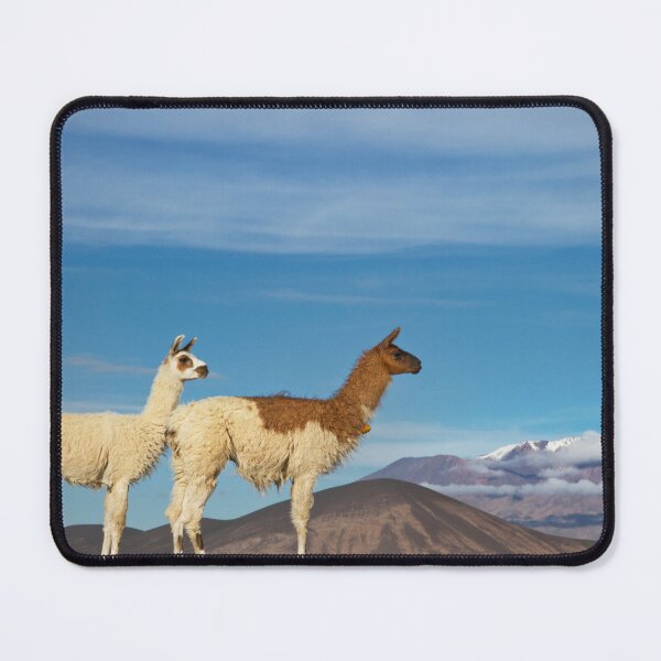 Item preview, Call-me or Llama-me designed and sold by Be-are-emm.