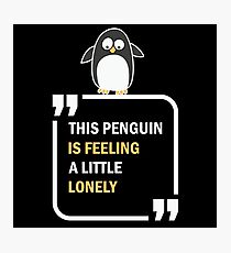 This Penguin is feeling a little lonely in summer Photographic Print