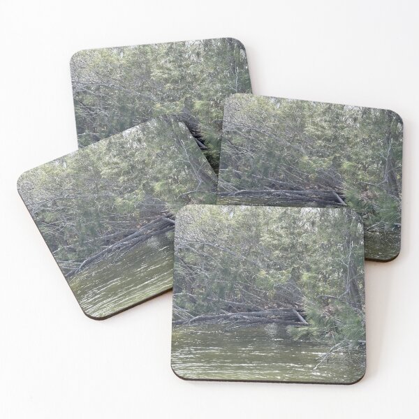 Item preview, Australian Pines over Haulover Canal designed and sold by Easley-Does-It.