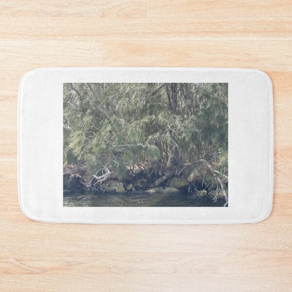 Item preview, Rocks Under Pine Trees over Haulover Canal designed and sold by Easley-Does-It.