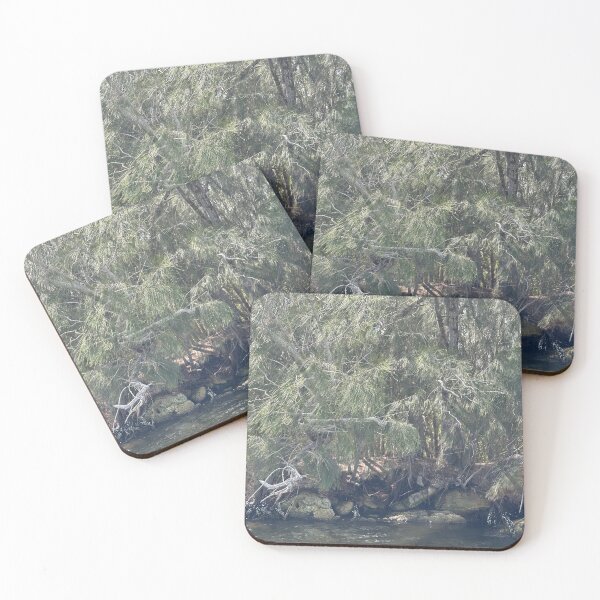 Item preview, Rocks Under Pine Trees over Haulover Canal designed and sold by Easley-Does-It.