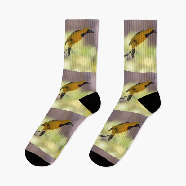Item preview, Hooded Oriole Leaving the Feeder designed and sold by CarolM.